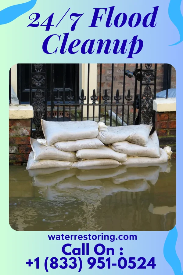 24/7 Flood Cleanup in Holland, MN