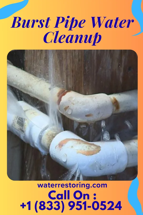 Burst Pipe Water Cleanup in Holland, MN