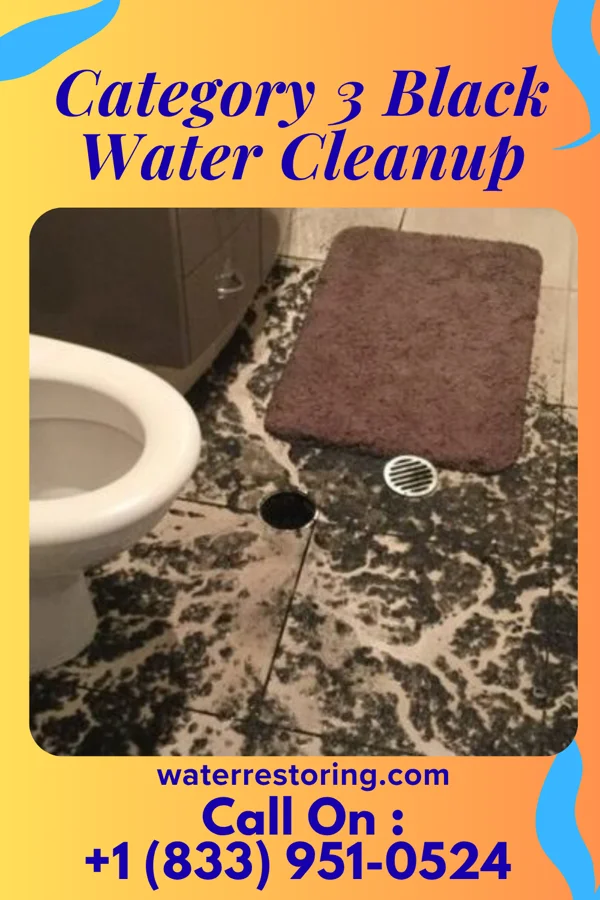 Category 3 Black Water Cleanup in Holland, MN