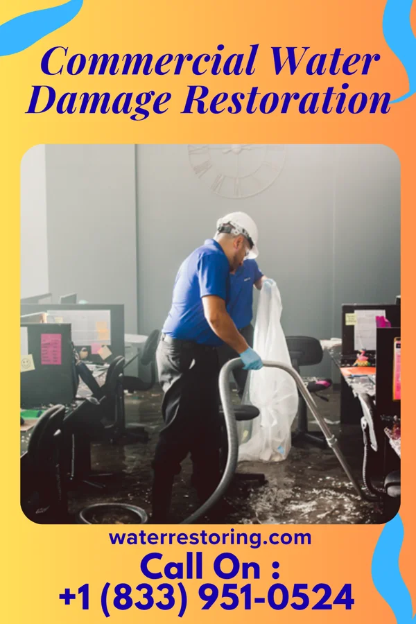 Commercial Water Damage Restoration in Holland, MN