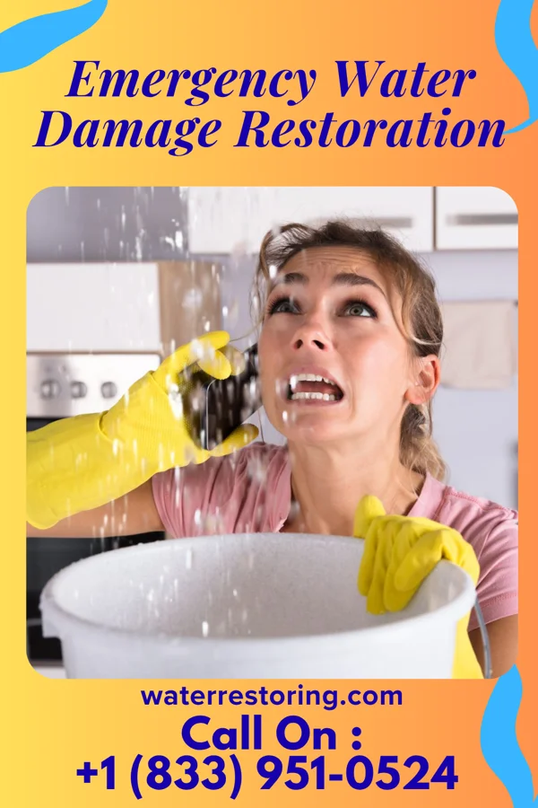 Emergency Water Damage Restoration in Holland, MN