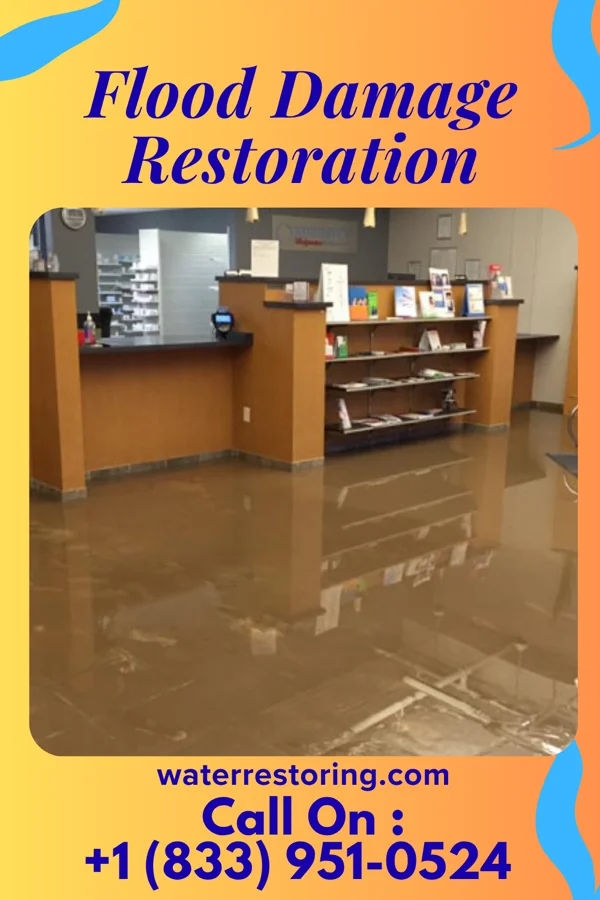 Flood Damage Restoration in Holland, MN