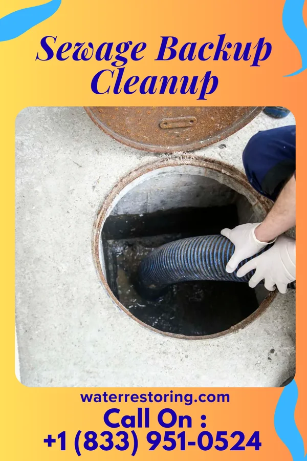 Sewage Backup Cleanup in Holland, MN
