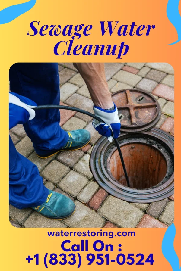 Sewage Water Cleanup in Holland, MN