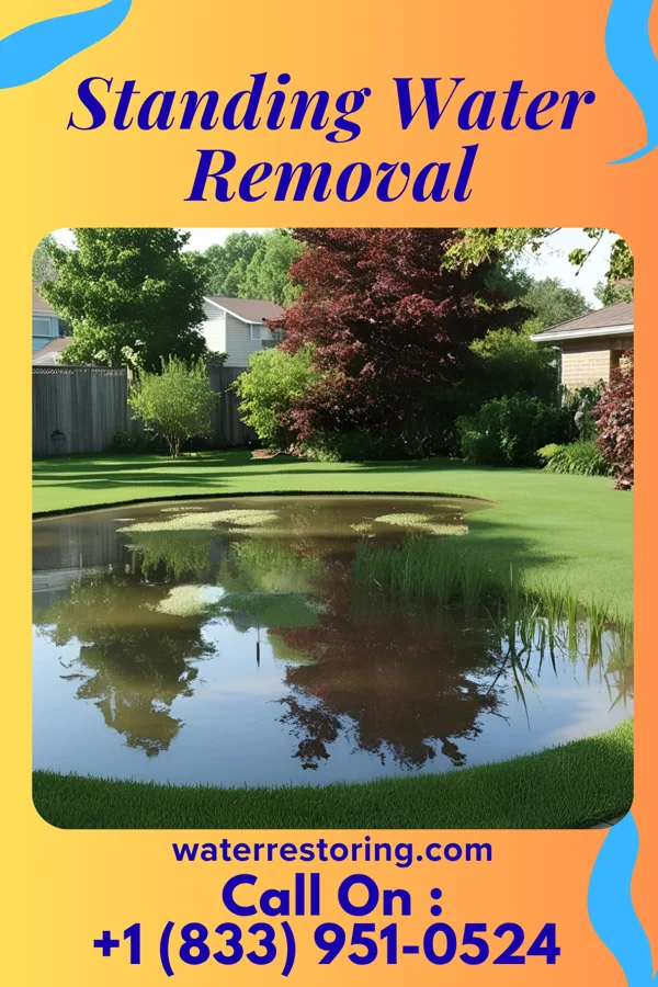 Standing Water Removal in Holland, MN